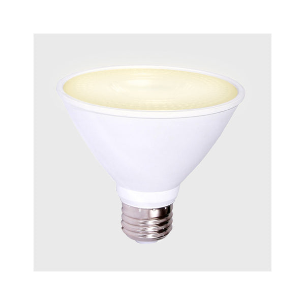 10DPAR30LED30V40